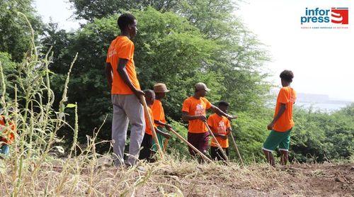 Children’s Trust CV promove campanha de limpeza na praia de Gamboa em prol da preservação ambiental