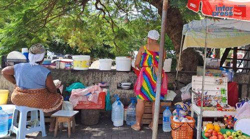 REPORTAGEM/Mulheres Rurais: A robustez da vida no campo e os sonhos que não param de crescer