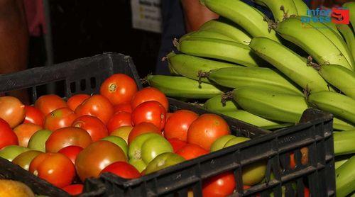 Porto Novo recebe mostra de produtos nacionais e portugueses promovida Associação Terras Baixo Guadiana