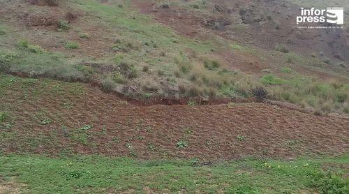 Planalto Leste: Famílias envolvidas na faina agrícola depois das primeiras chuvas