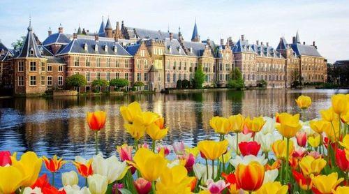 Países Baixos realizam hoje terceiras eleições legislativas em três anos