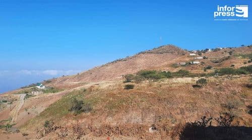 Porto Novo: Chuva mansa no Planalto Norte deixa animados os criadores de gado desta zona alta