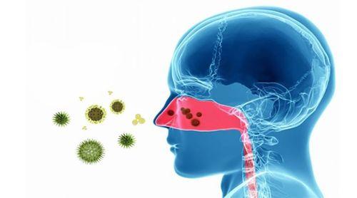 Autoridades sanitárias estão a acompanhar e monitorizar evolução do vírus HMPV na China – garante Governo