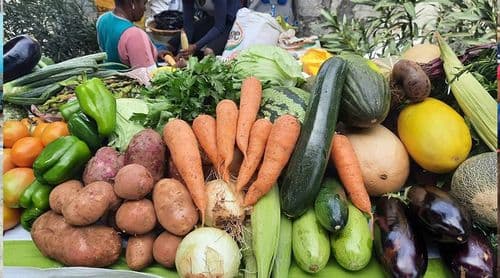 Porto Novo: Família Os Verdes anuncia 2.ª edição da feira gastronómica para 29 e 30 de Maio 