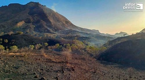 Santa Catarina: Bombeiros alertam para risco de queimadas na preparação de terrenos agrícolas