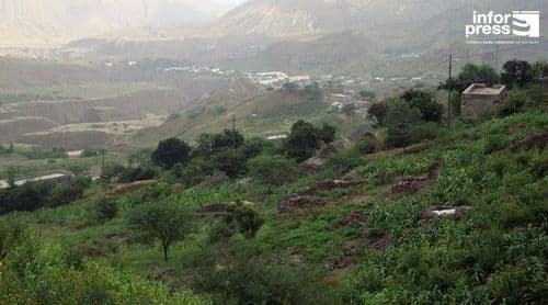 Porto Novo: Proliferação de acácias americanas compromete agricultura de regadio em alguns vales – agricultores  