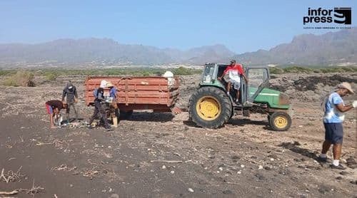 Porto Novo: Autarquia reafirma compromisso com promoção de saúde pública no município 