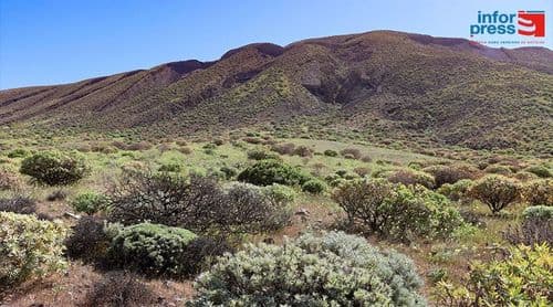 Porto Novo/Planalto Norte: Criadores de gado pedem apoio do Governo para construir currais e proteger parque natural