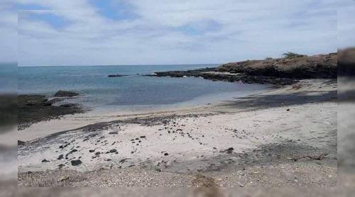 Fogo: Le projet Vitó accueille une formation régionale sur la surveillance des oiseaux de mer et la gestion des menaces