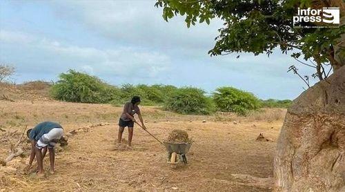 Cabo Verde e Comores na linha da frente dos PEID africanos com estratégias inovadoras para resiliência climática